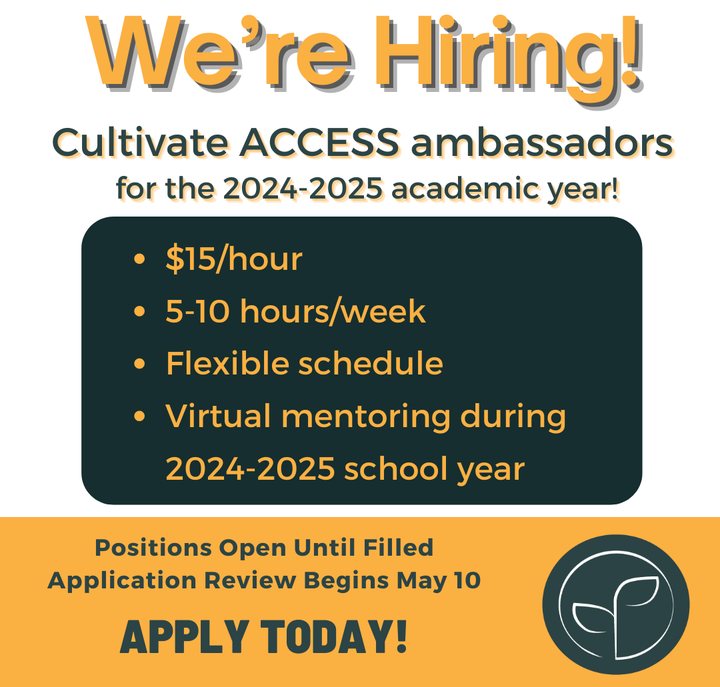 Ambassador Hiring