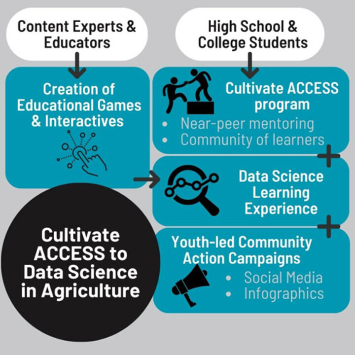 Figure 1. Program Overview